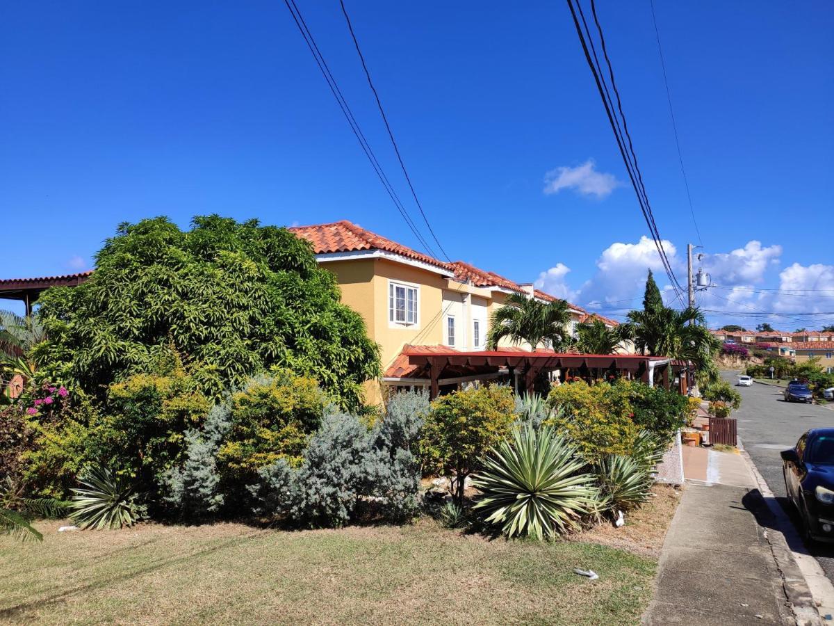 Montego Bay Garden Studio ภายนอก รูปภาพ