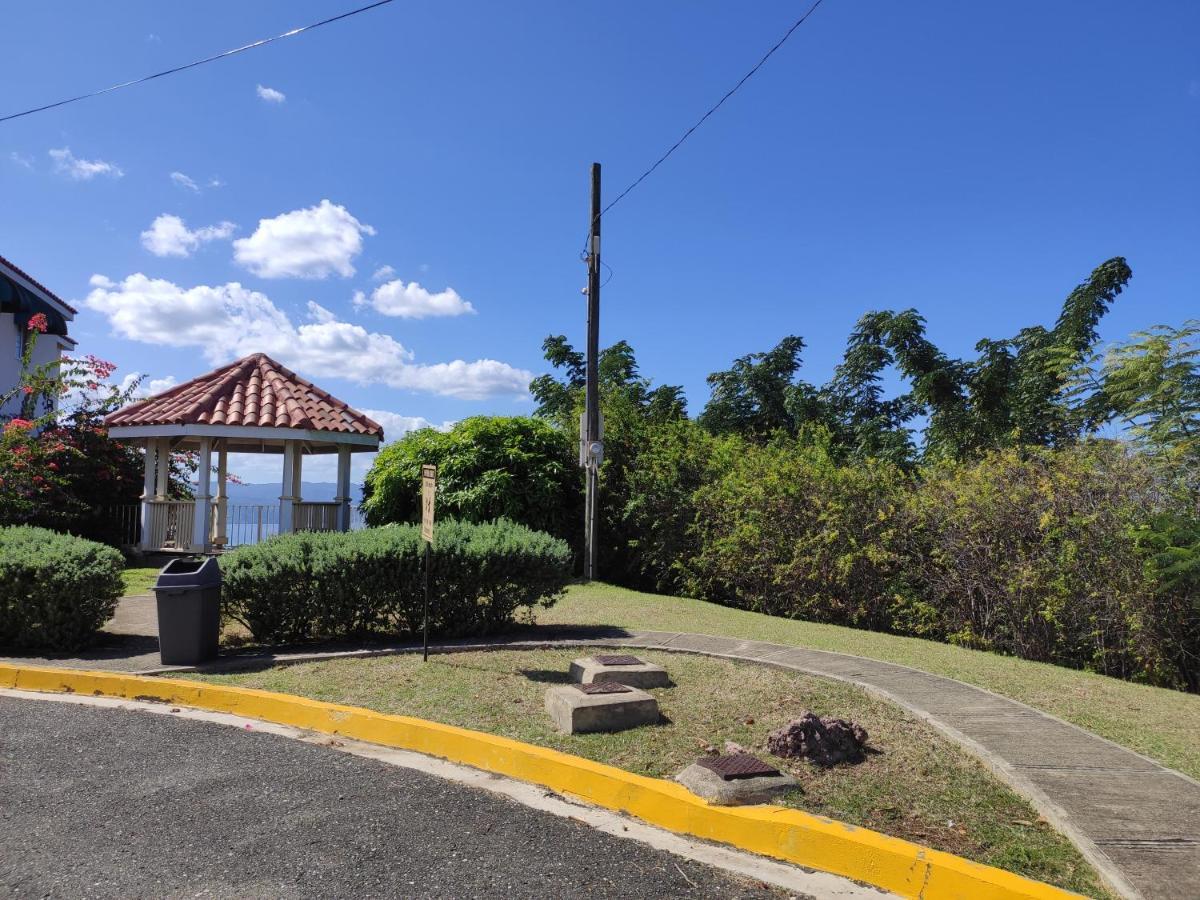 Montego Bay Garden Studio ภายนอก รูปภาพ